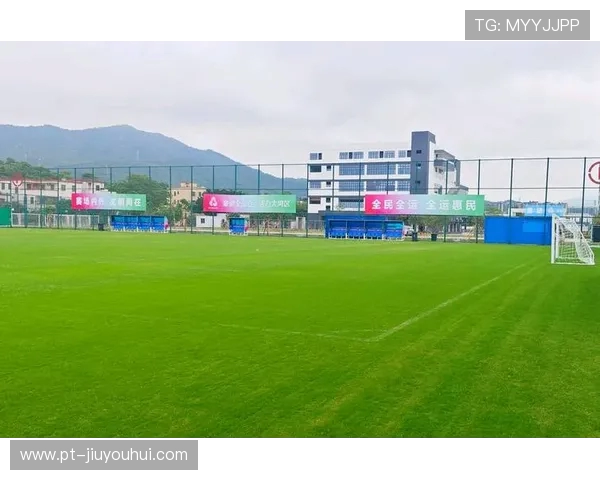 王峰伟助力海盐足球崛起 探索地方足球发展新路径